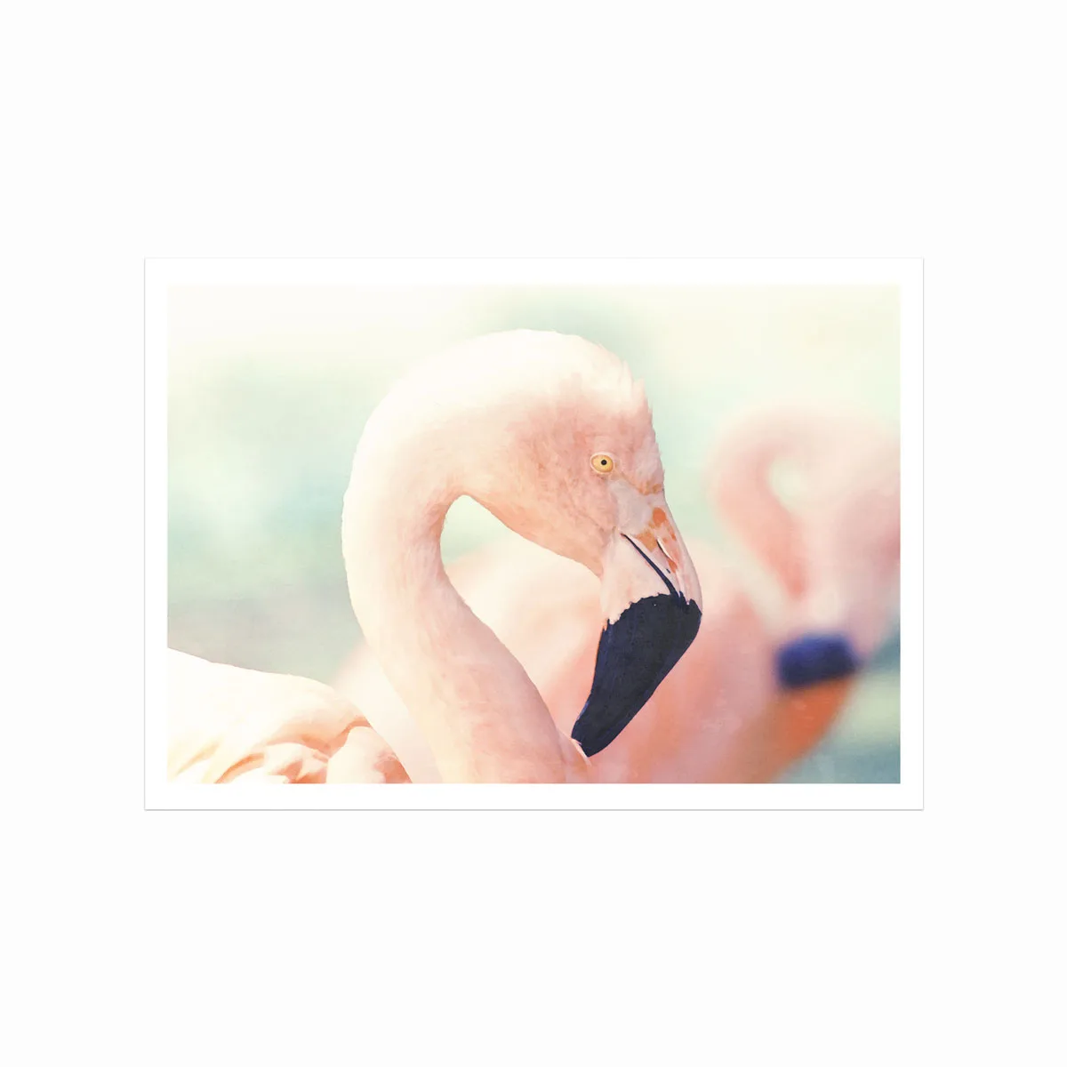 Plakat med Pink Flamingo – Skønhed til Dit Hjem