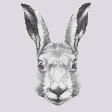Kreativ Kanin – Illux Ready Steady Rabbit til Børneværelset