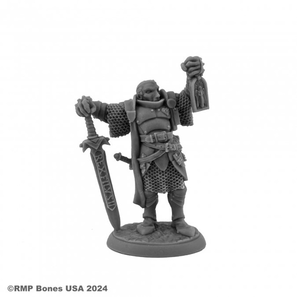 Reaper Bones Usa Dungeon Dwellers: Marcus Gideon  Undead Hunter Plastic Miniature