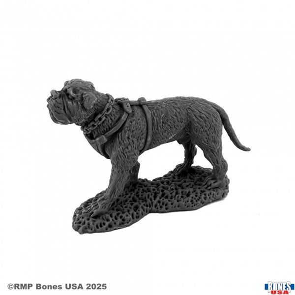 Reaper Bones Usa Reaper Legends: Garr  War Dog Plastic Miniature