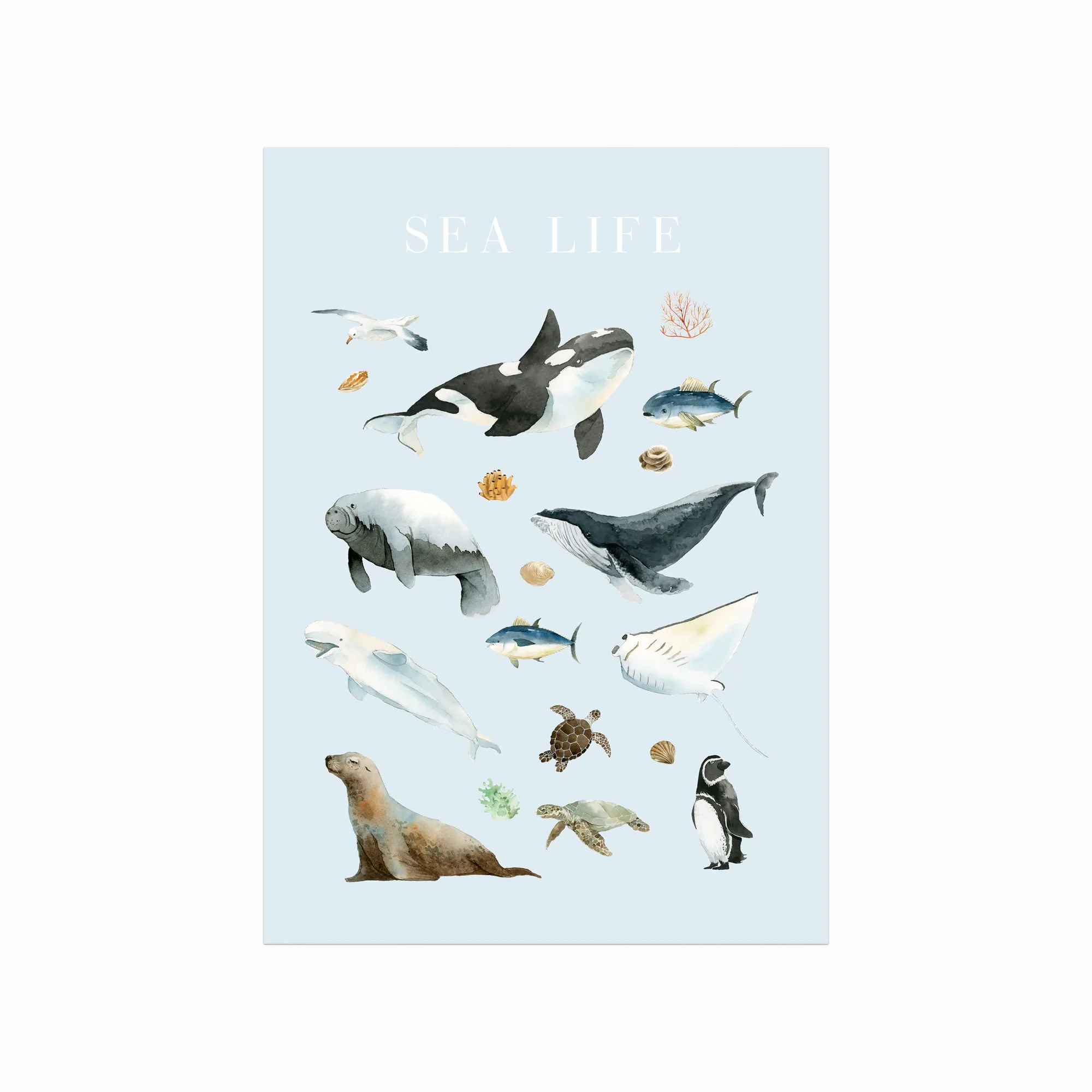 Havliv – Smuk Havplakat til Dit Hjem med Havtema