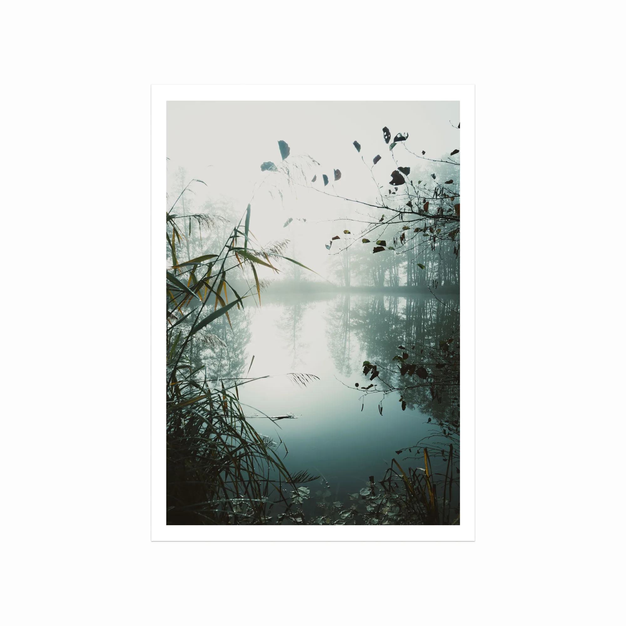 Serendipity Plakat – Naturens Skønhed til Dit Hjem