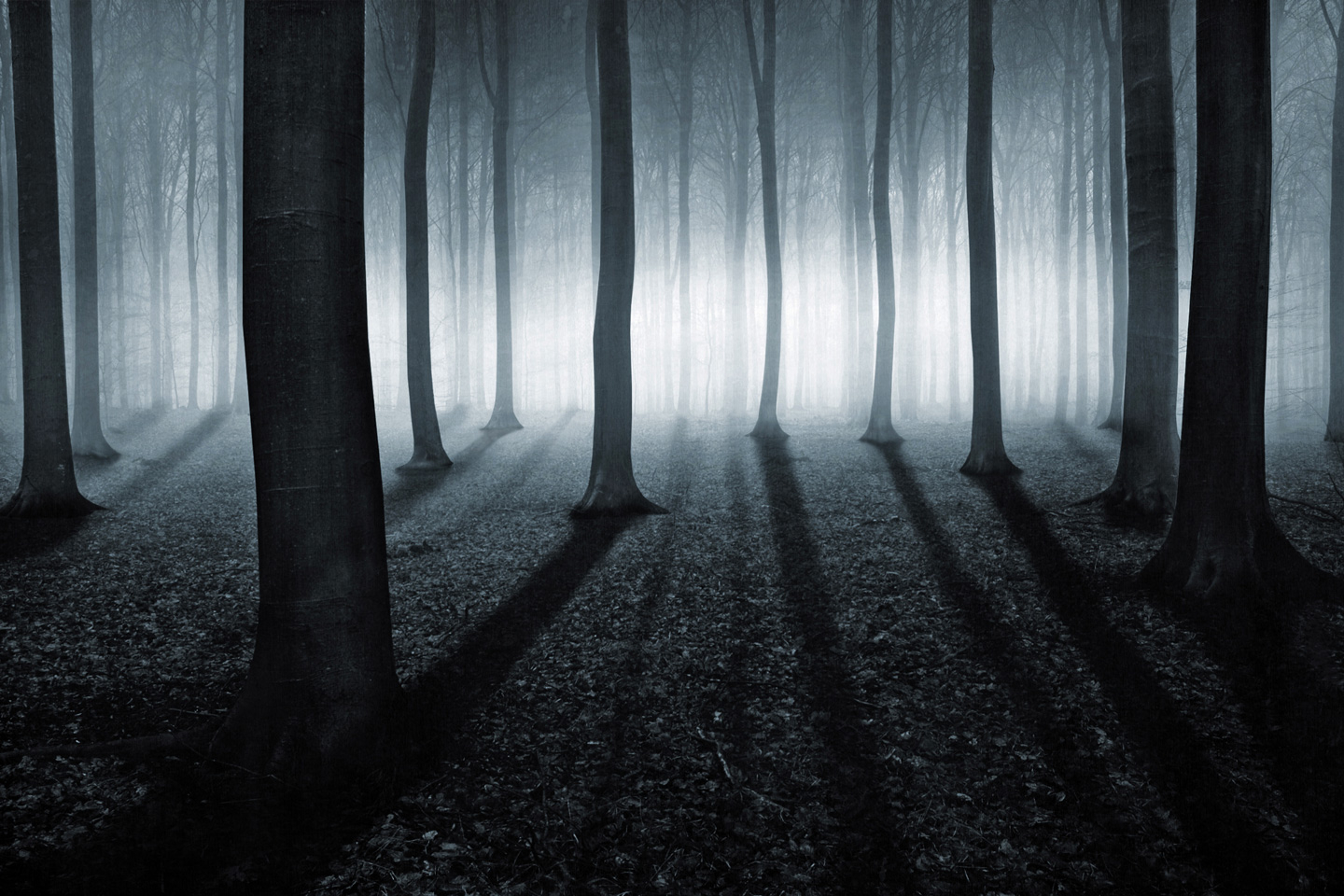 Fotokunst "Shining" af Frederik Laugesen – Naturens Magi