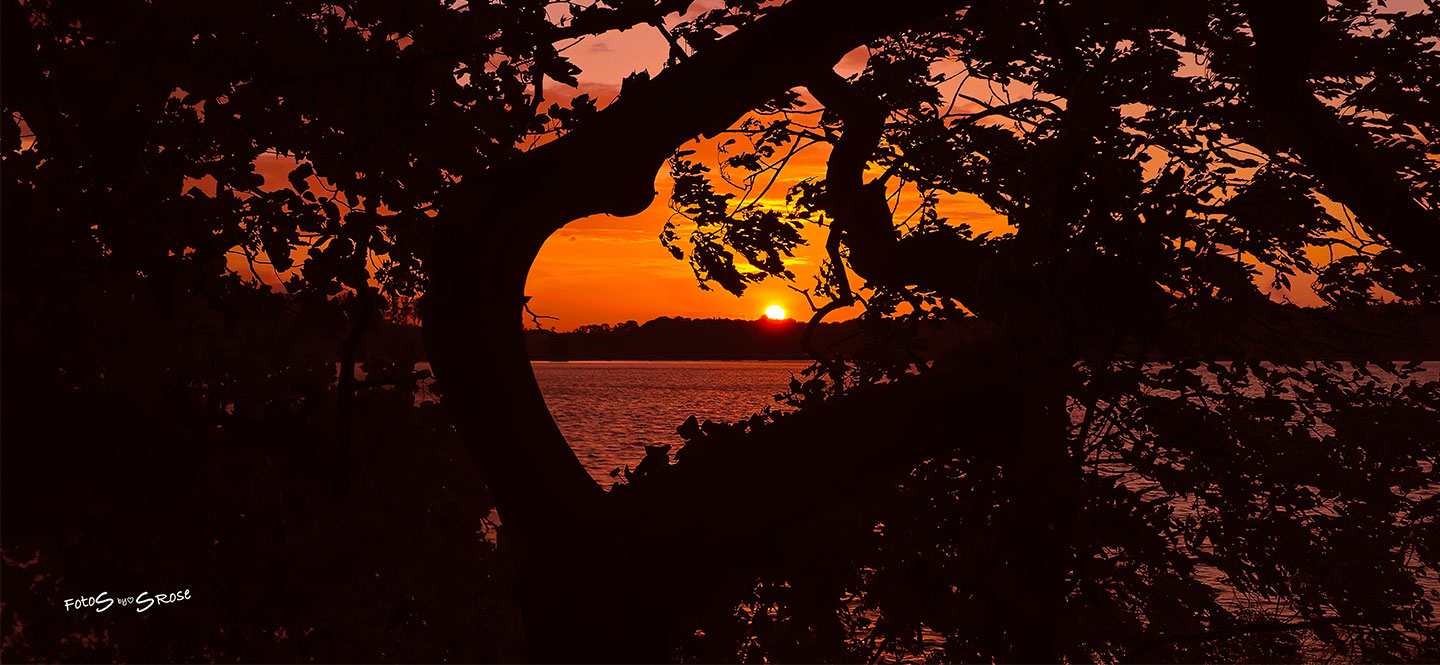 Hjerteformet Solnedgang Foto – Unikt Kunstværk til Hjemmet