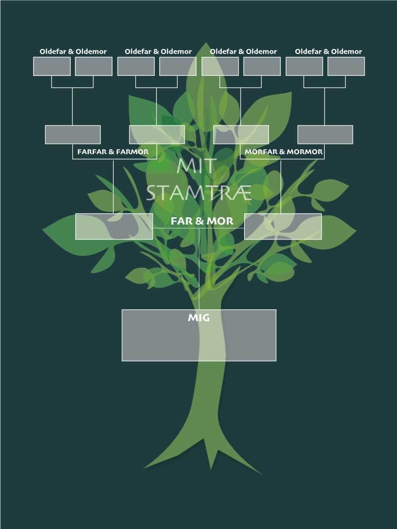 Stamtræ Plakat til Børneværelset – Udforsk Din Familiehistorie