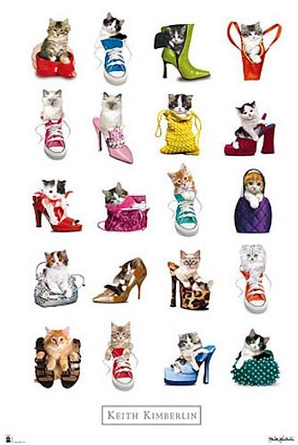 Super Tilbud Plakat - Keith Kimberlin Gatos Katte 61x91 cm