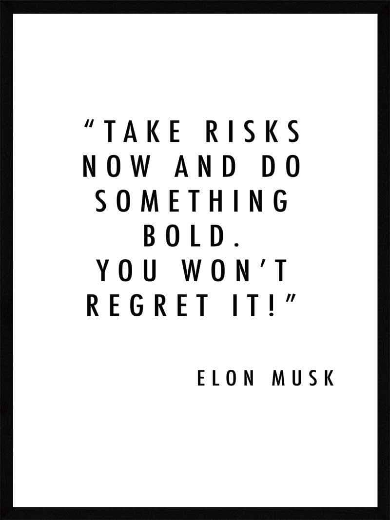 Inspirerende Elon Musk Plakat - Tag Risici Nu!