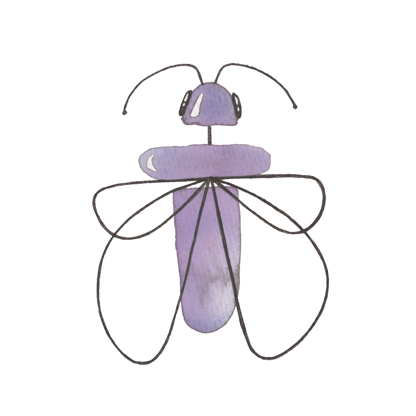 Farverig dyreliv illustration - Thalassnius af Lise Sgaard