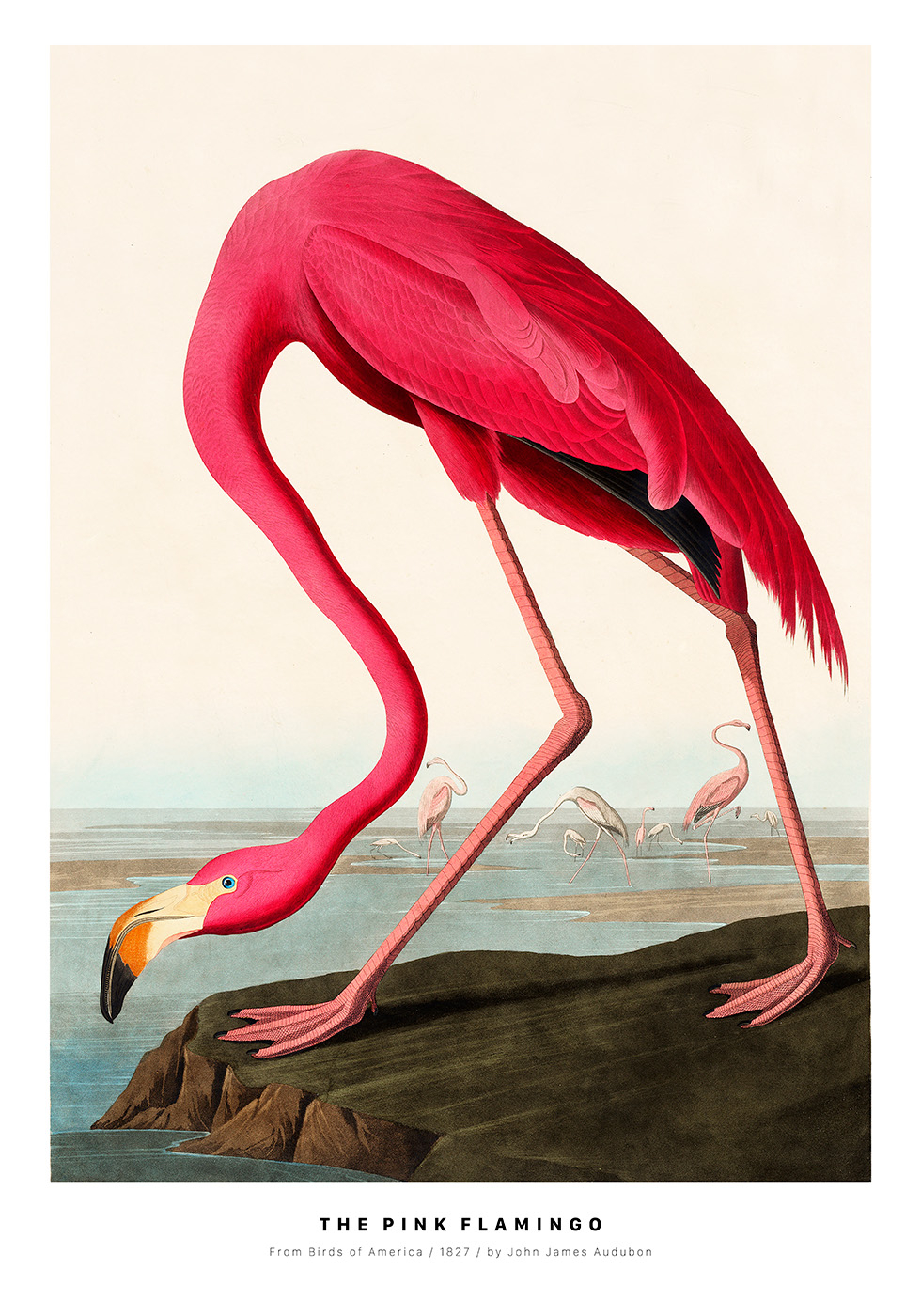 Plakat af The Pink Flamingo – 50% rabat i Black Week 2023