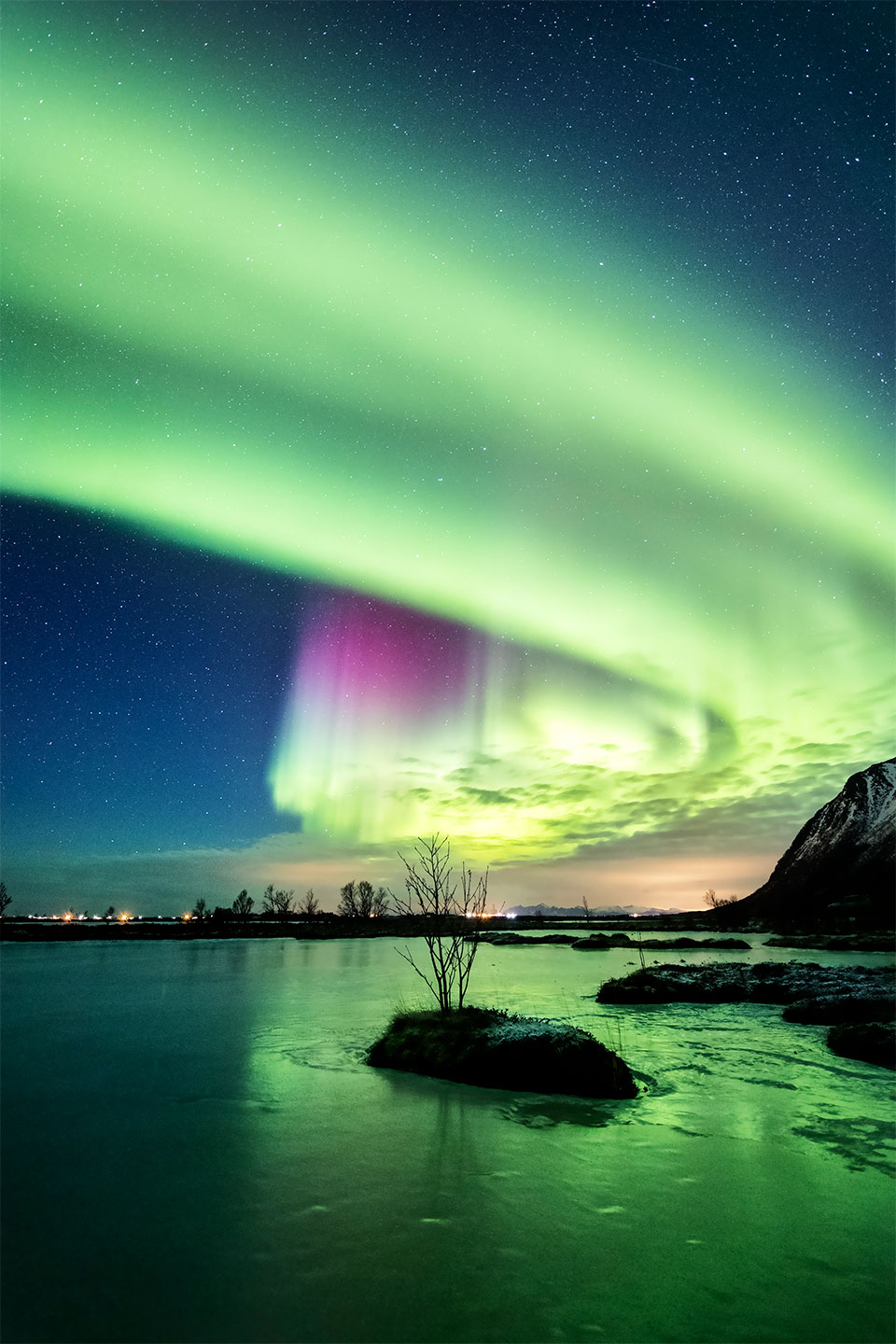Træet i Søen – Unik Naturfotokunst af Frank Olsen