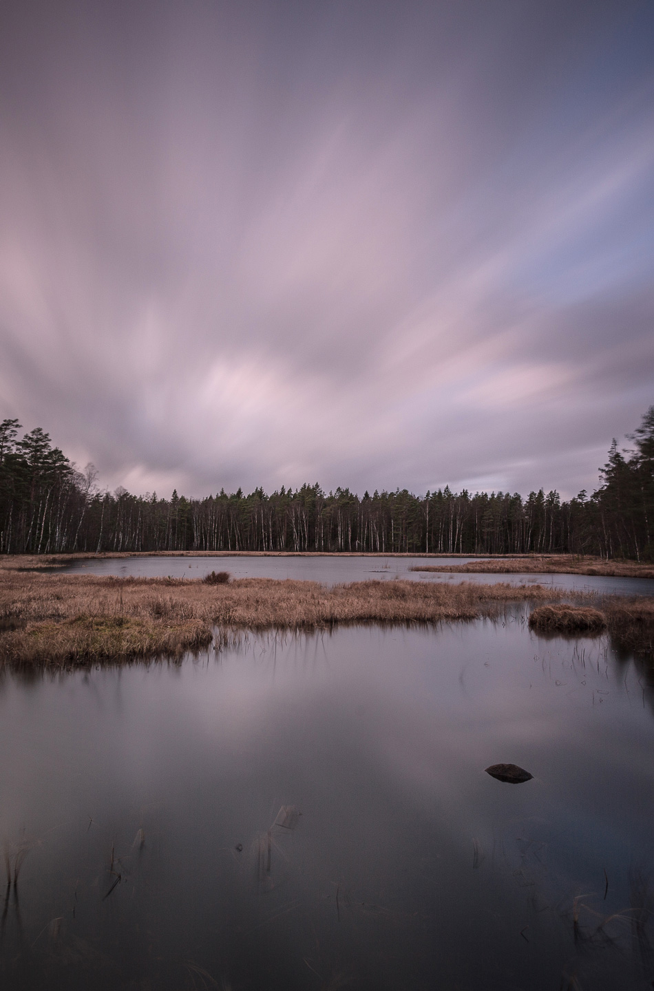Mikkel Beiter: The Tree Line – Naturfotografi Tilbud