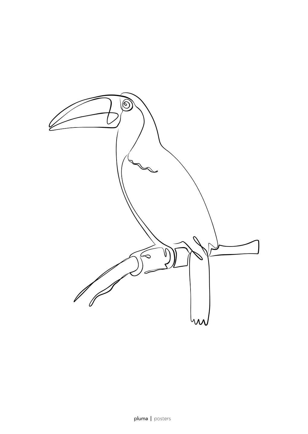 Tukan Pluma Plakat – Sort-hvid Naturillustration til Børn