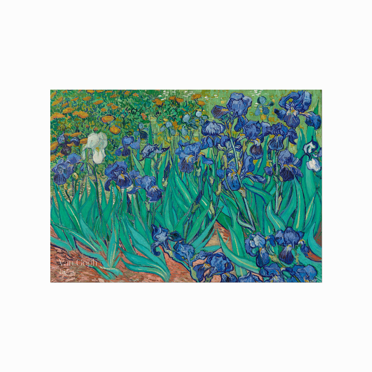 Van Gogh Plakat - Iriser til dit hjem