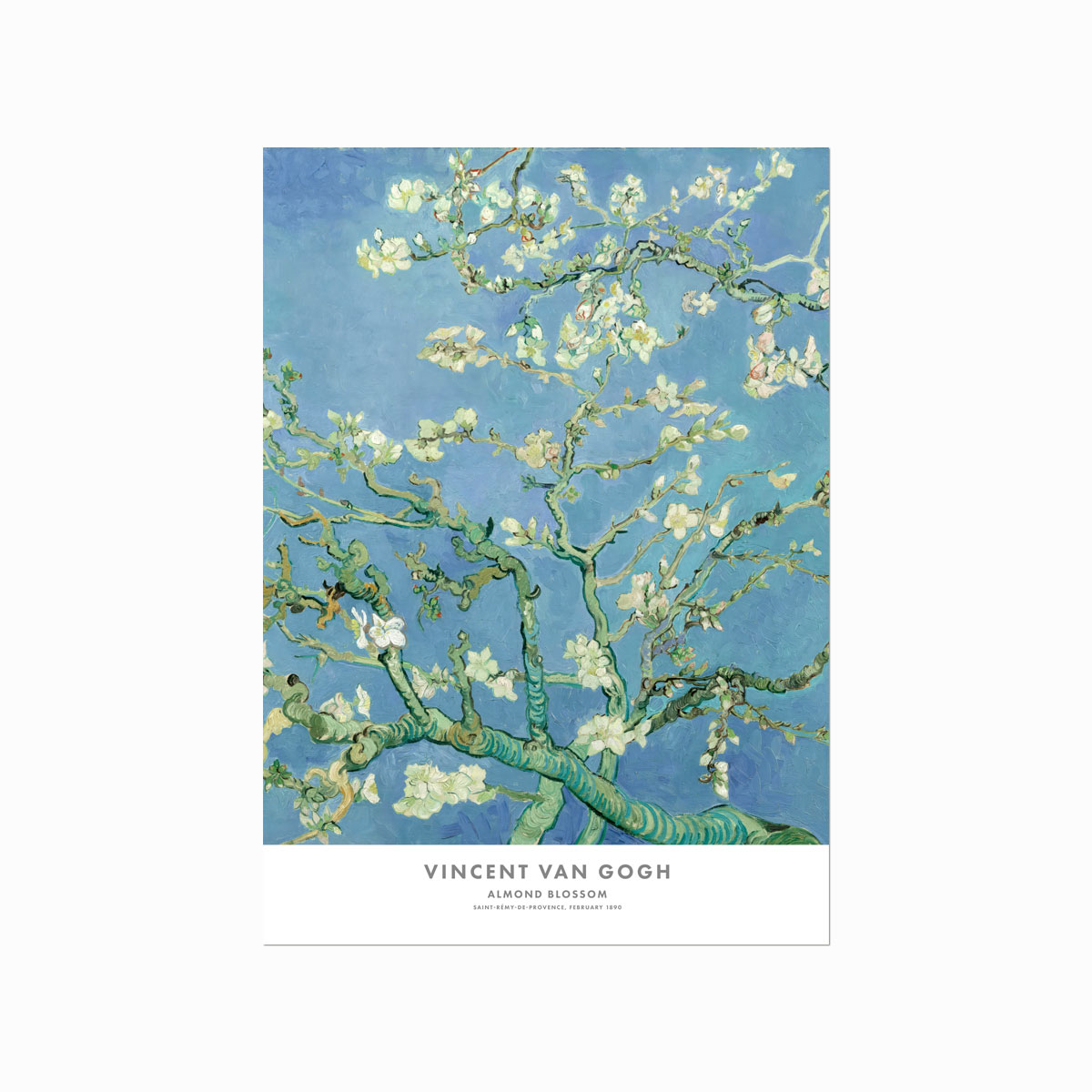 Vincent Van Gogh Plakat - Mandler i Blomst