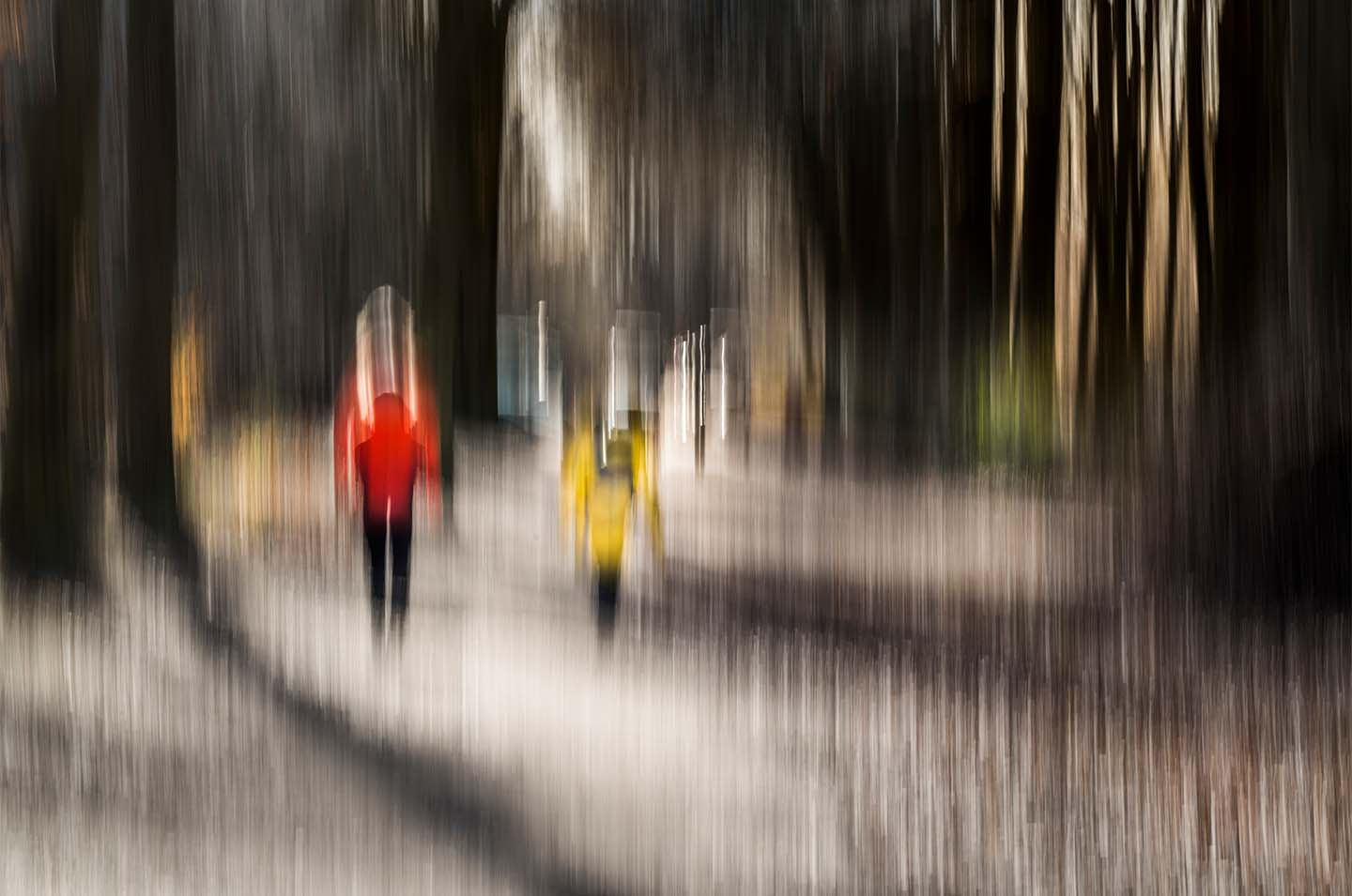 Walk   The Forest   Klint Fotografi