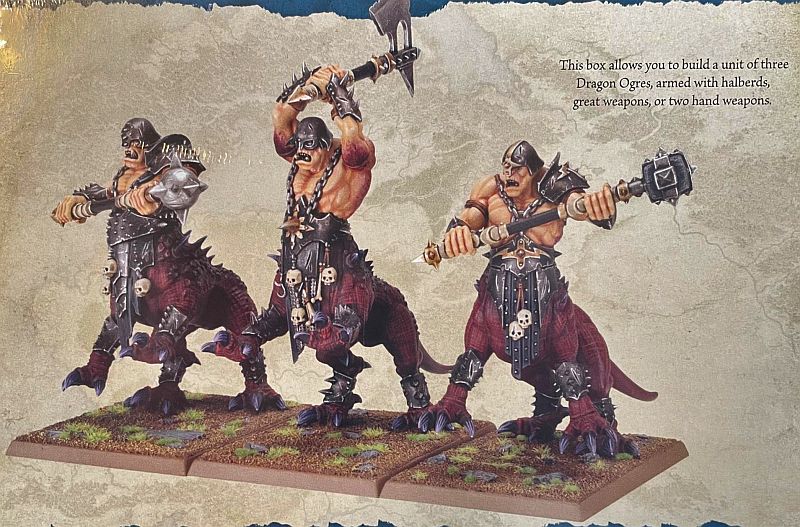 Warriors   Chaos Dragon Ogres  2024  99122701011