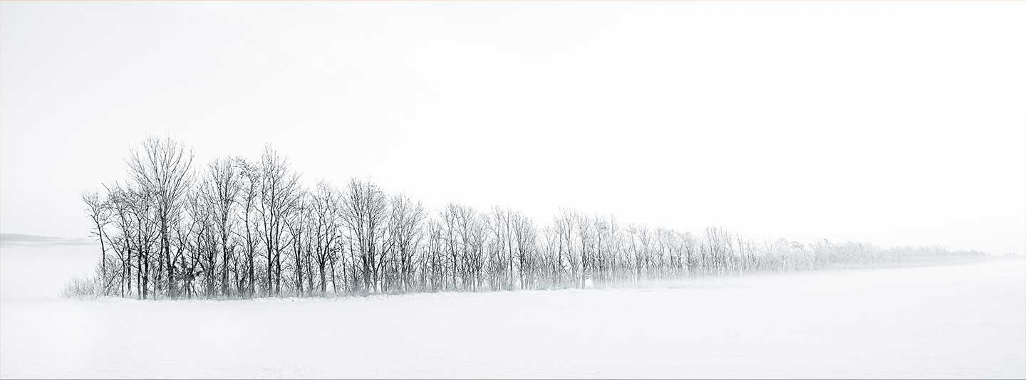 Winter Trees   Rasmus Gundorff Sæderup