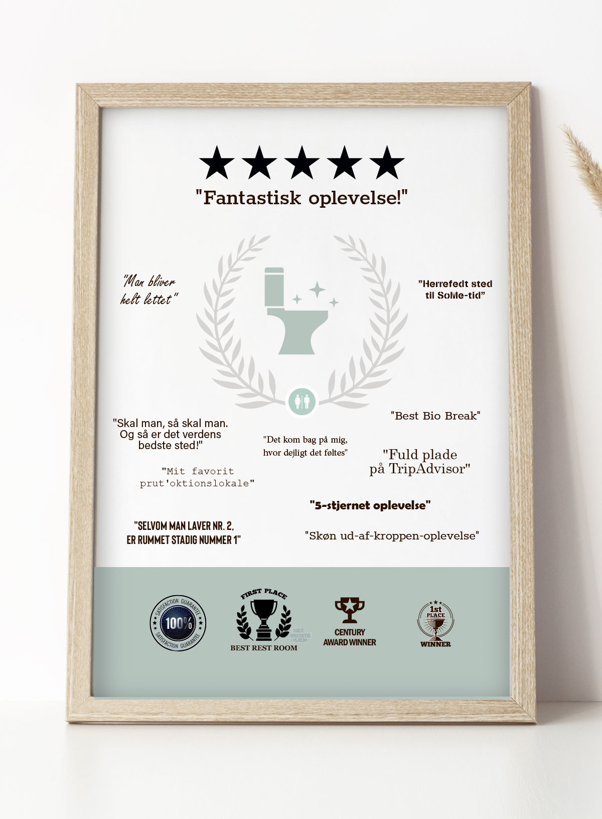 5-stjernet Toiletoplevelse Plakat – Pift Badeværelset Op!
