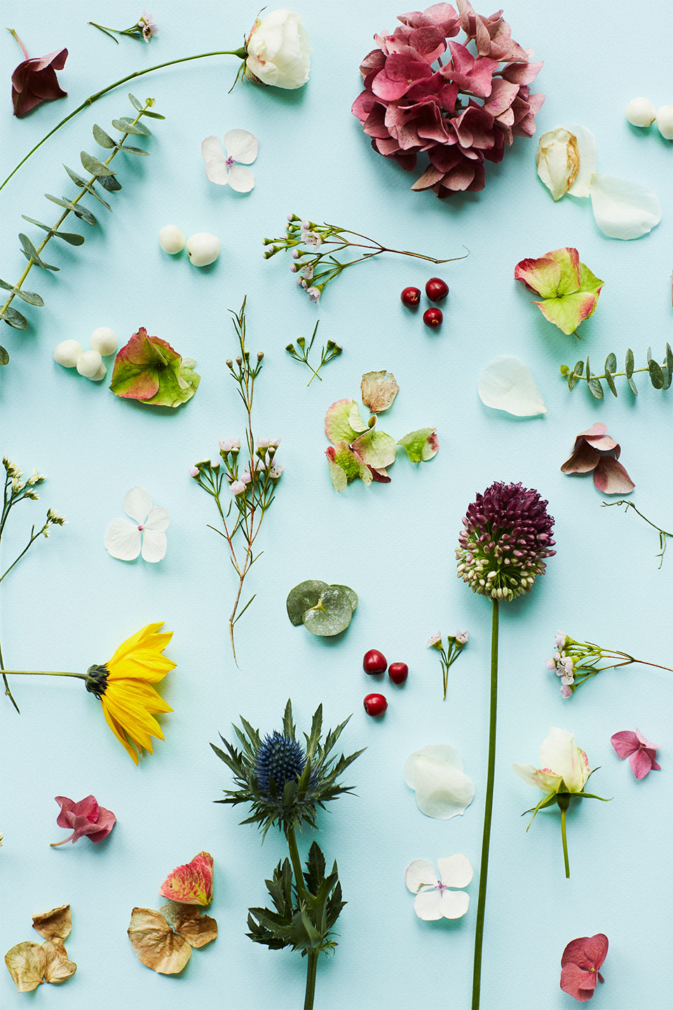 Blomstermotiv Kunsttryk af Camilla Schmidt – Elegance til hjemmet!