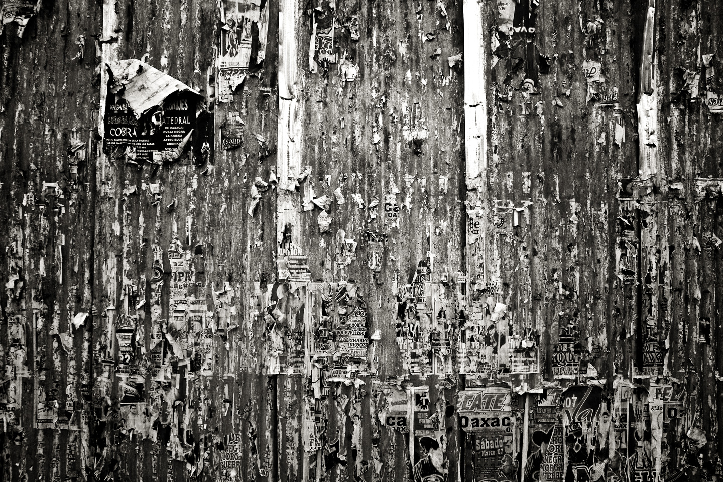 Byens Reklame – Sort-hvid Fotokunst af Julie Aucoin
