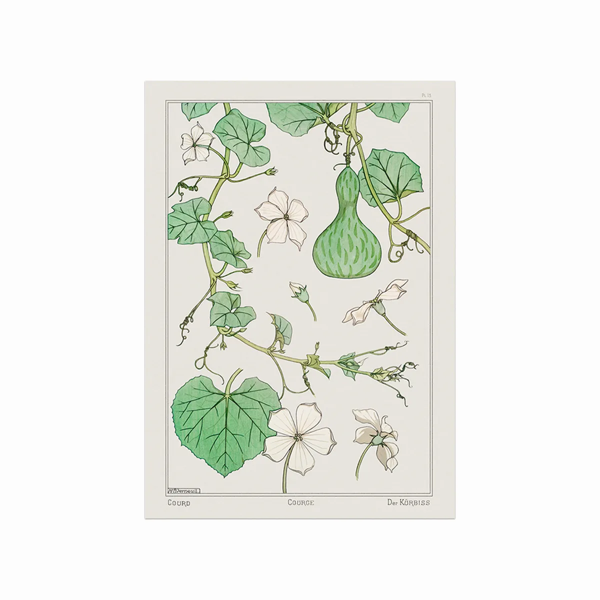 Hvid Græskarplakat med Blomster – Retro Vægkunst til Hjemmet