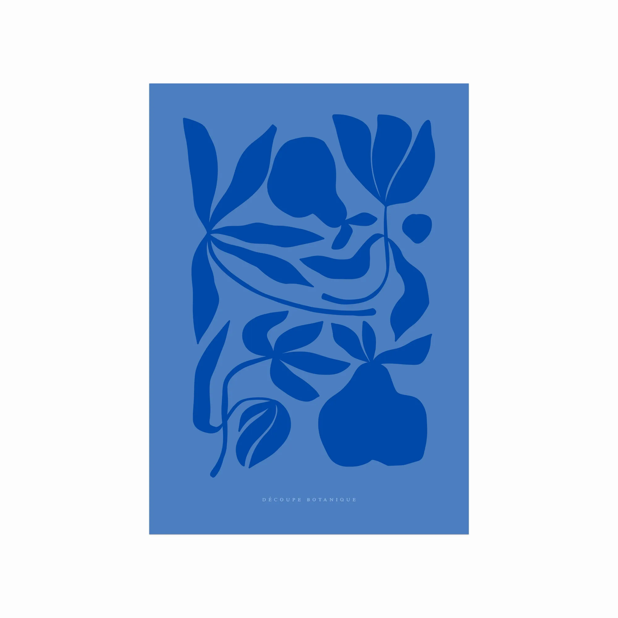 Farverig Botanisk Plakat med Blomster til Dit Hjem
