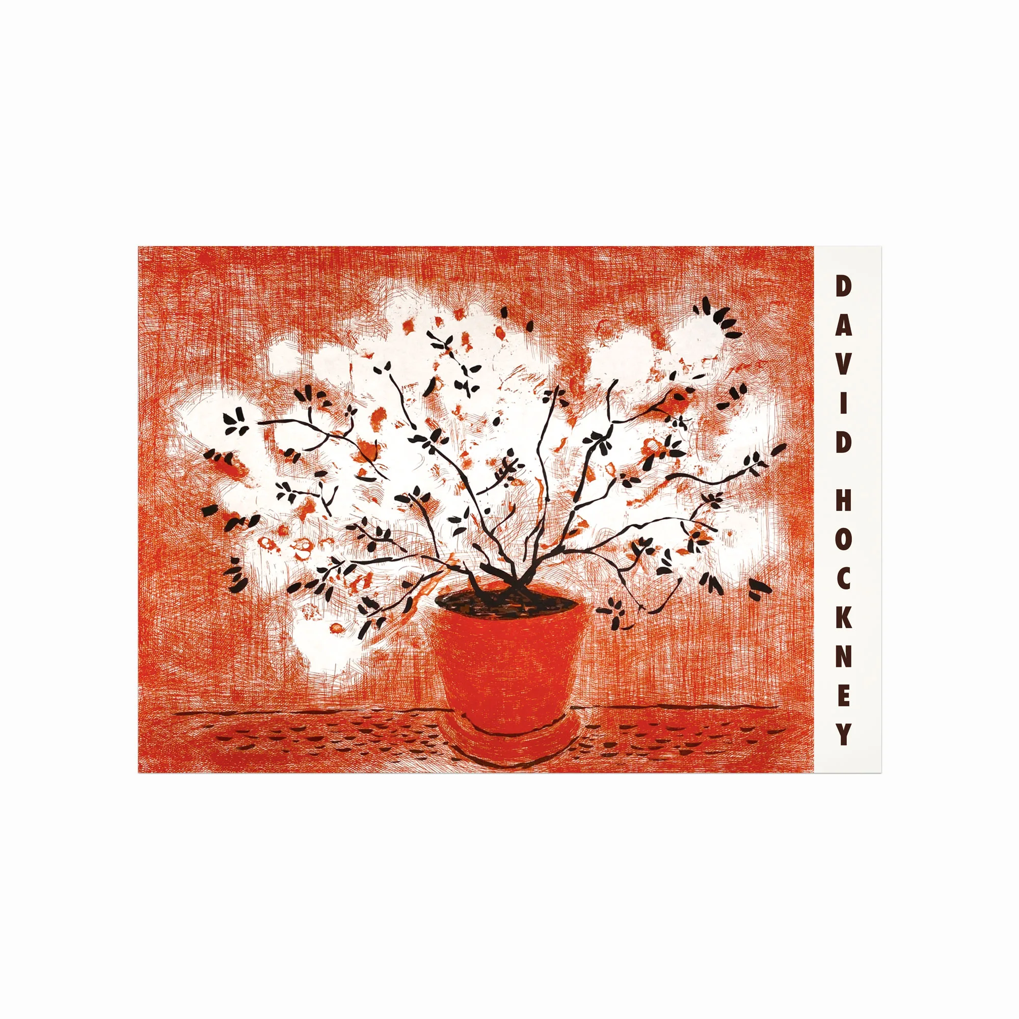 David Hockney Plakat – Rød Etching til Dit Hjem