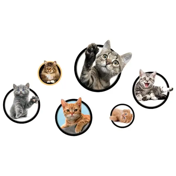Søde katte wallstickers med 6 nuttede killinger