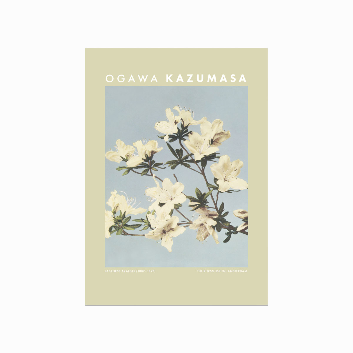 Rolig Japansk Azalea Plakat – Elegant Kunst til Dit Hjem