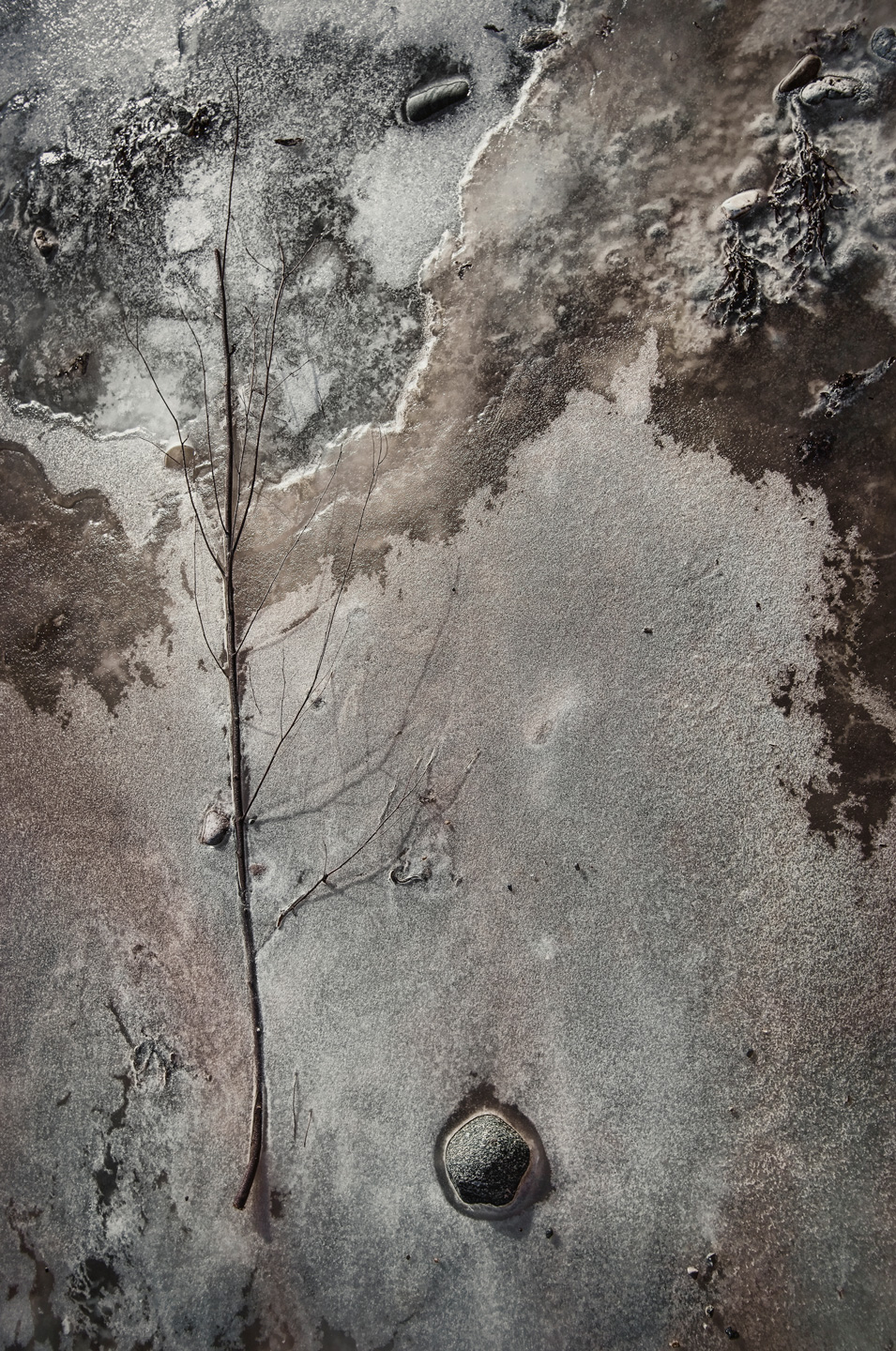 Iskold Kunstplakat – On Ice af Gustavo Orensztajn