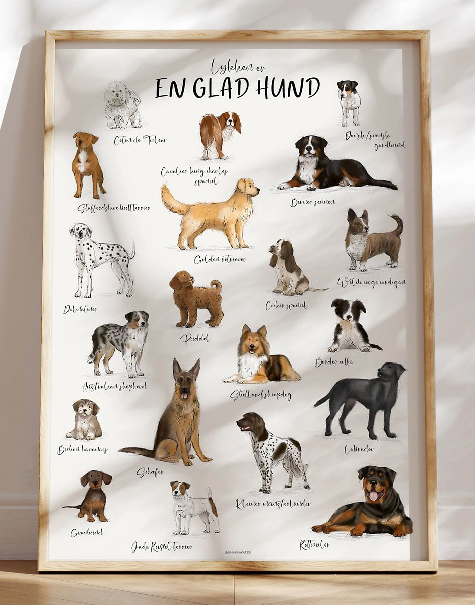 Plakat Med Hunderacer 20 Dejlige    Håndtegnede  Hunde