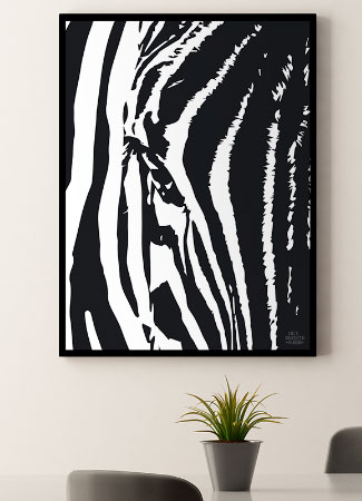 Zebra Plakat - Sort/Hvid Kunst til Boligen