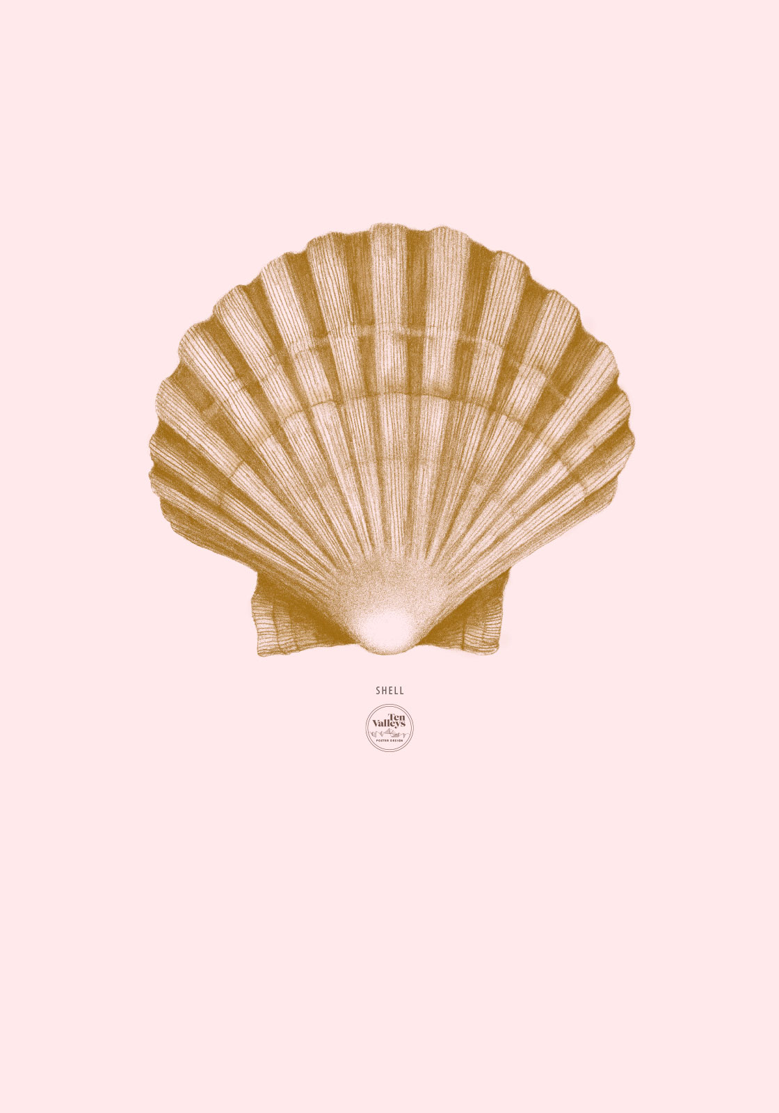Rosa Musling Illustration – Unik Kunst til Dit Hjem