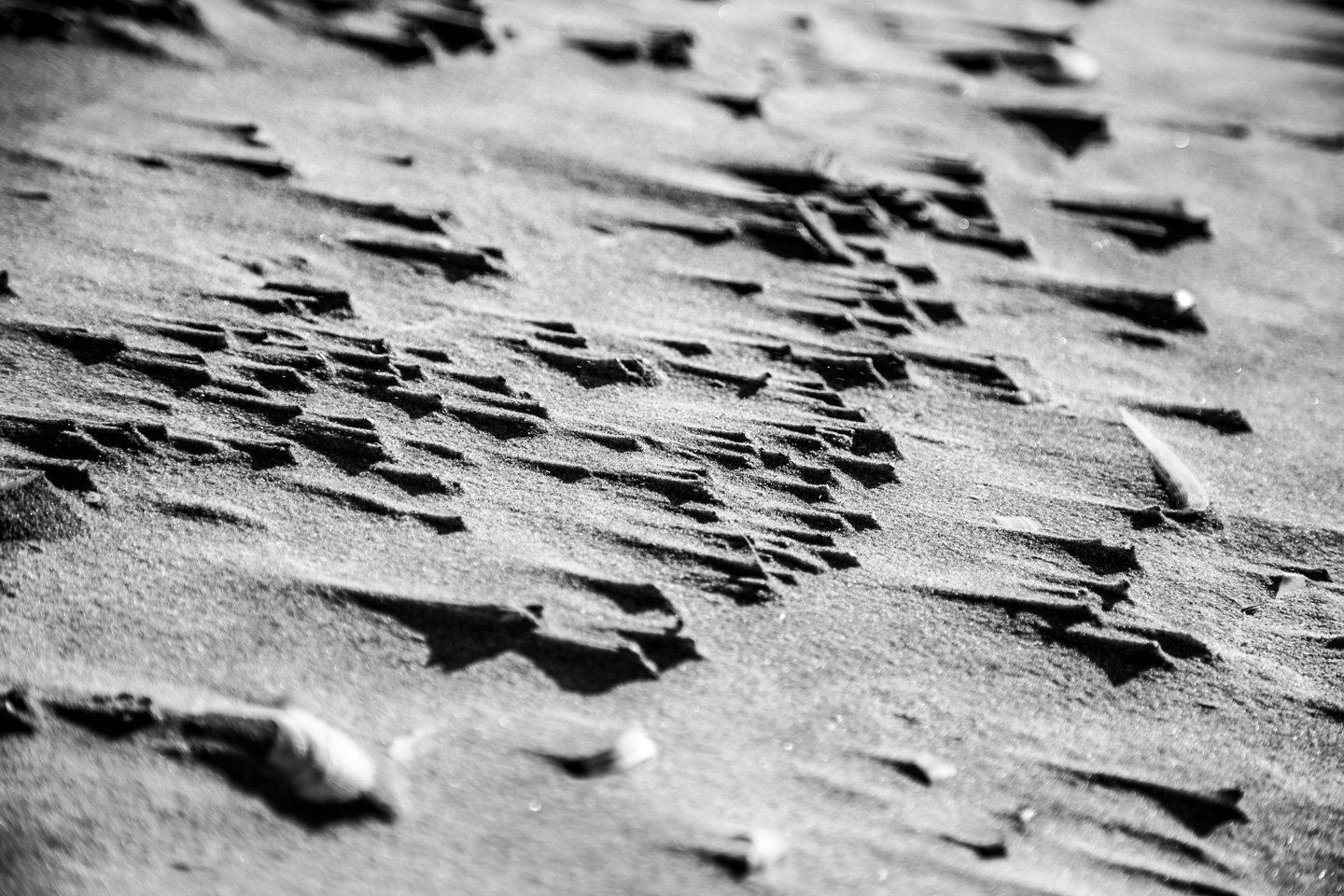 Sand Sails   Andreas Mørck