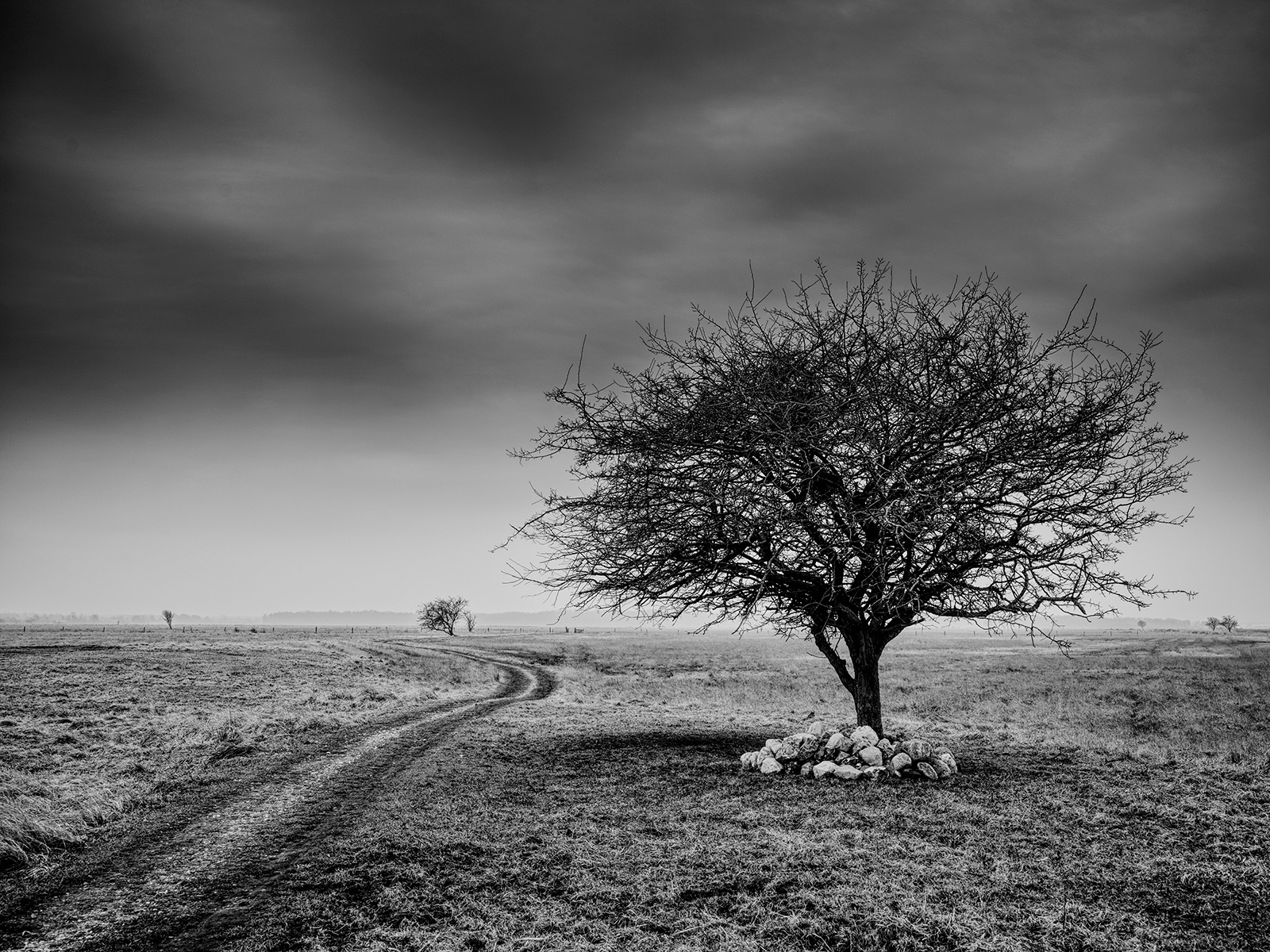 Side af Vejen – Sort/hvid Fotokunst til Dit Hjem