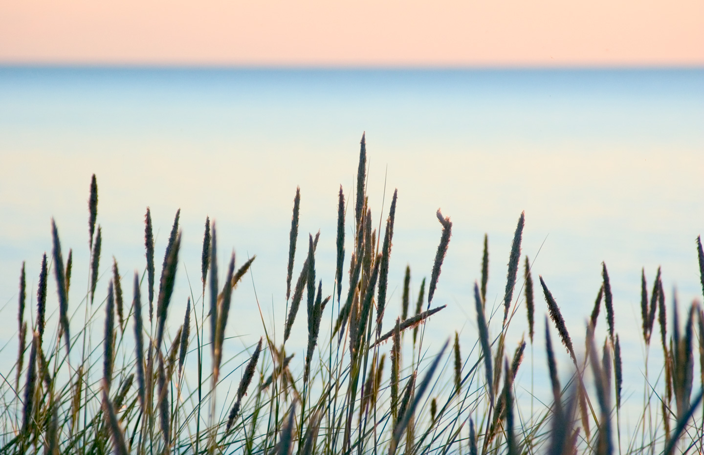 Sommerstrand Plakat af Kirsten Stigsgaard – Indret med Stil