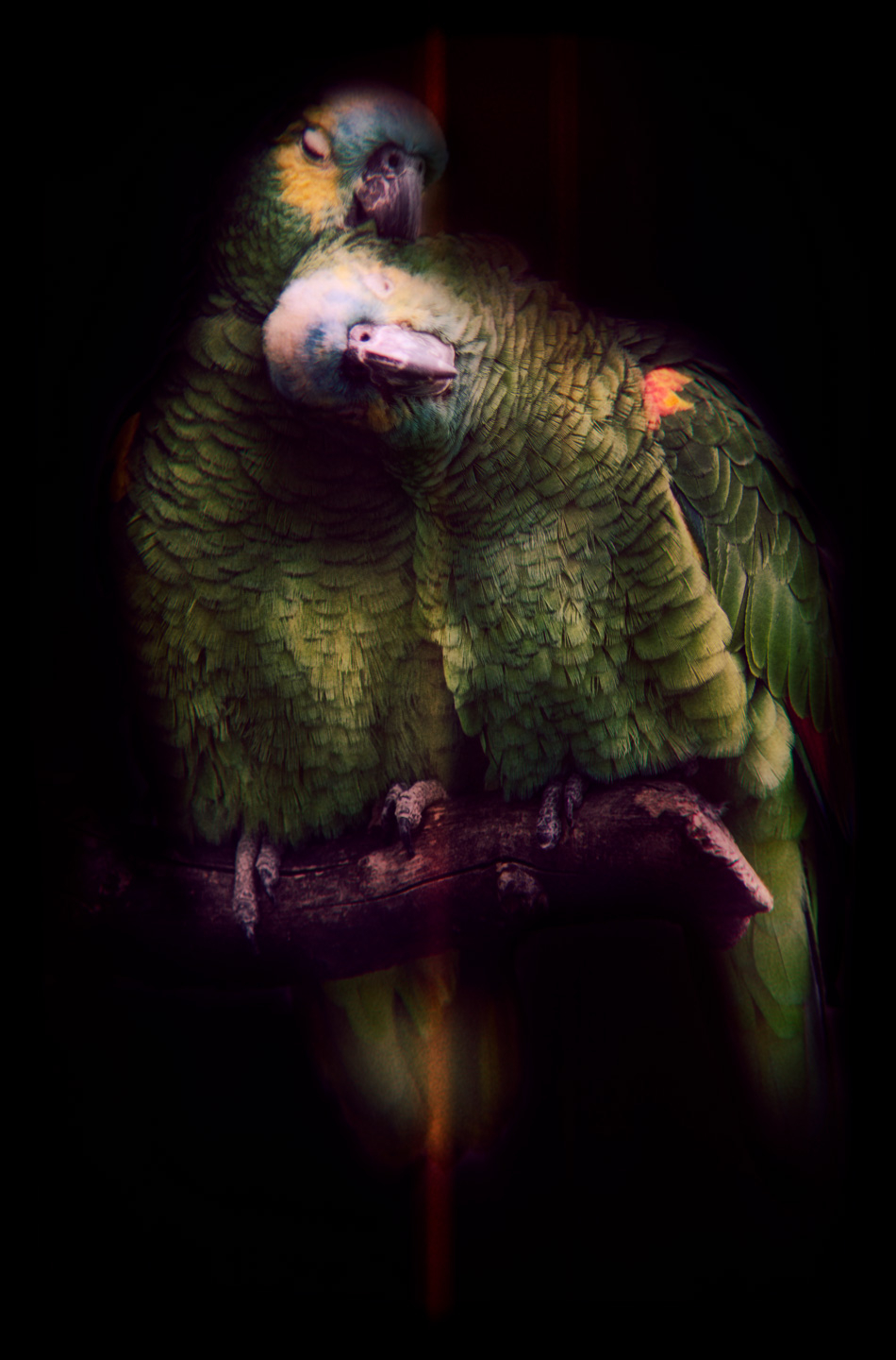 "Sammen" - Gustavo Orensztajn Fotokunst til Dit Hjem