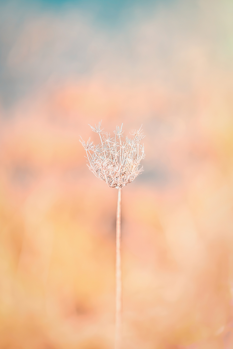 Unik Naturfotokunst fra Smukstil By Mea - Elegant Indretning