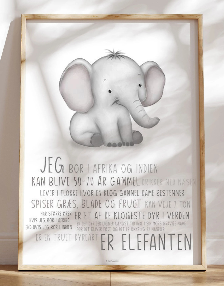 Børneplakat Med Elefant Lær   Elefanten