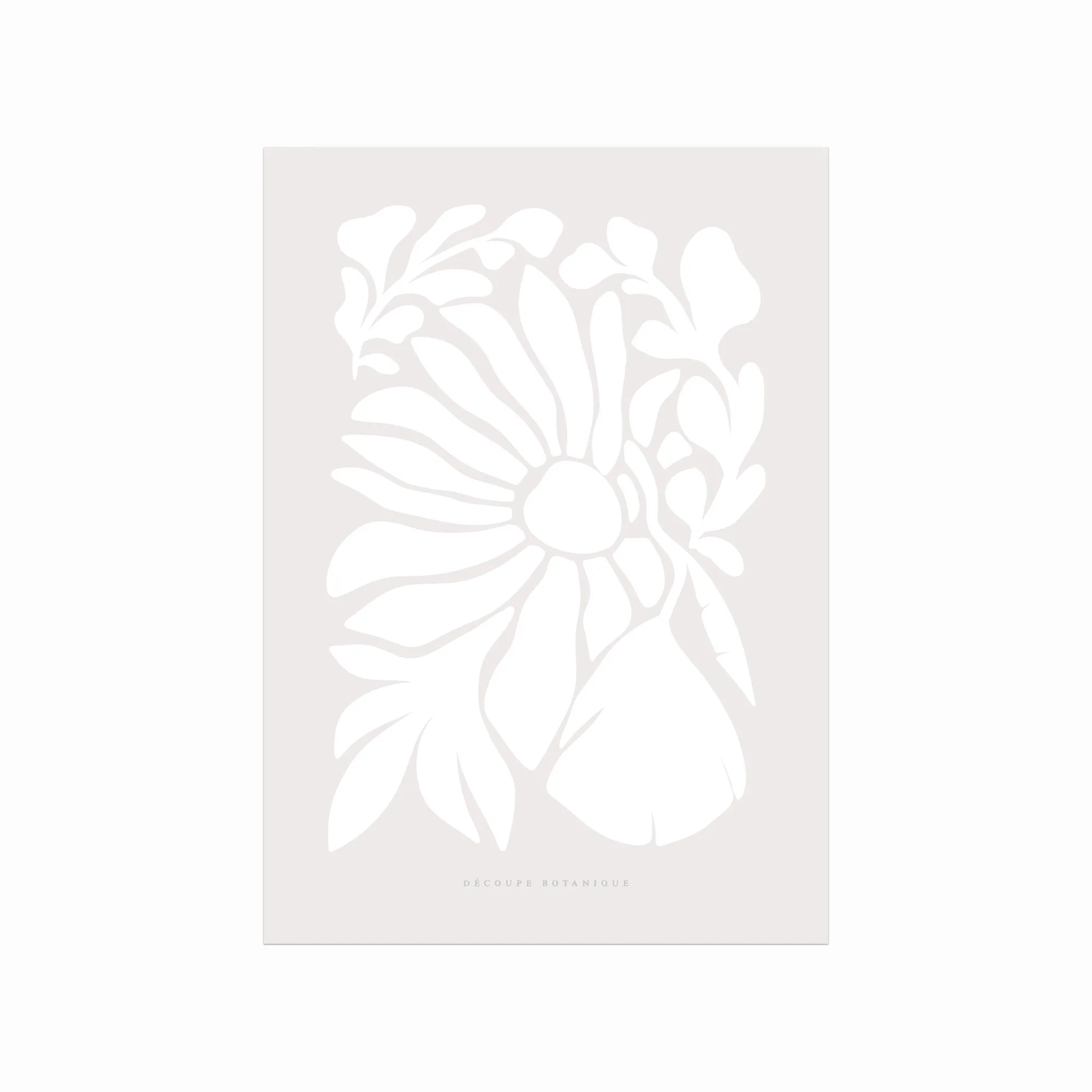 Elegant Botanisk Plakat 02 – Blomster til Dit Hjem