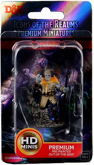 Dungeons   Dragons Icons   The Realms Premium Miniatures: Firbolg Male Druid  Wzk93013