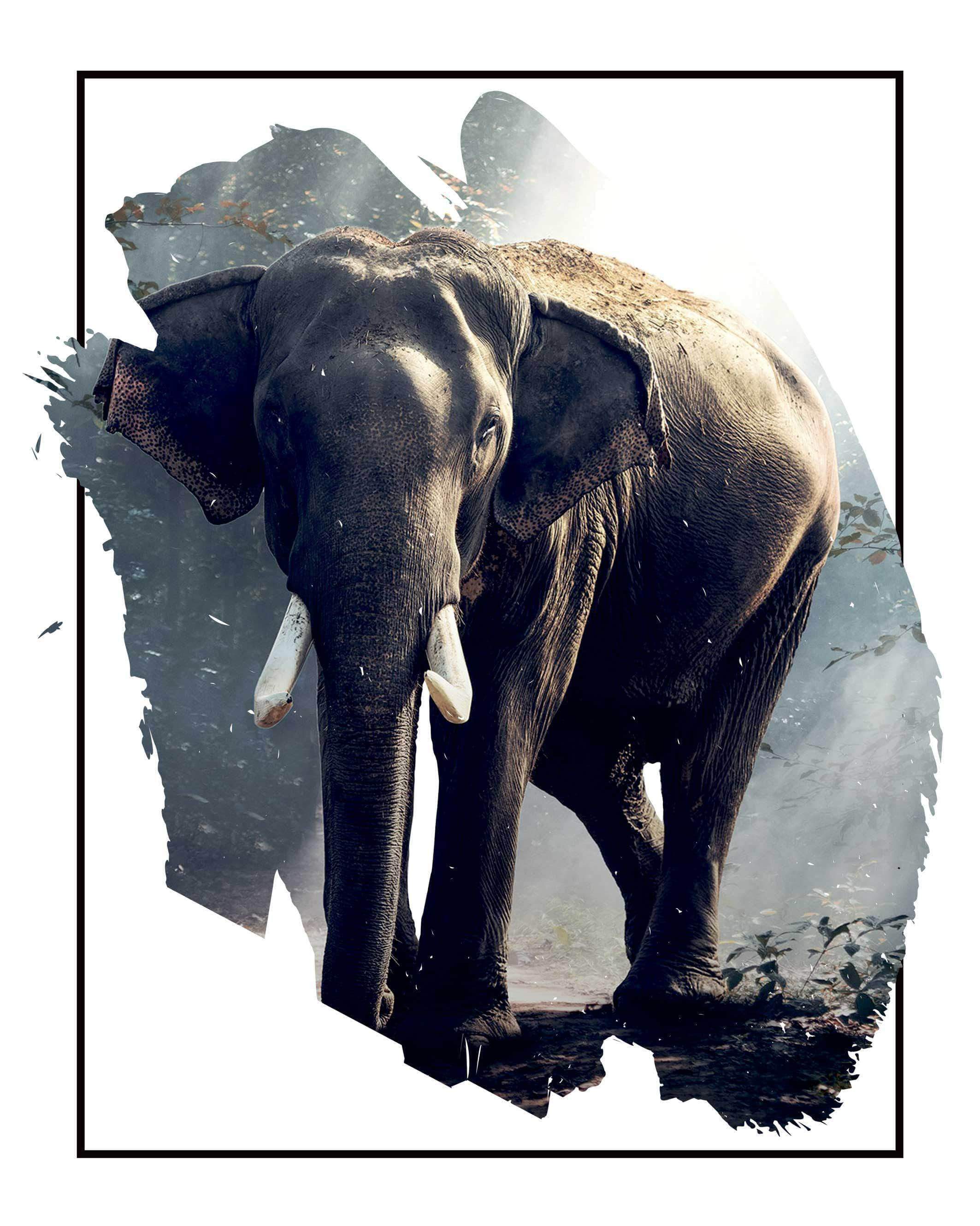 Elefant i Skovlysning Plakat - Fantastisk Dyreplakat