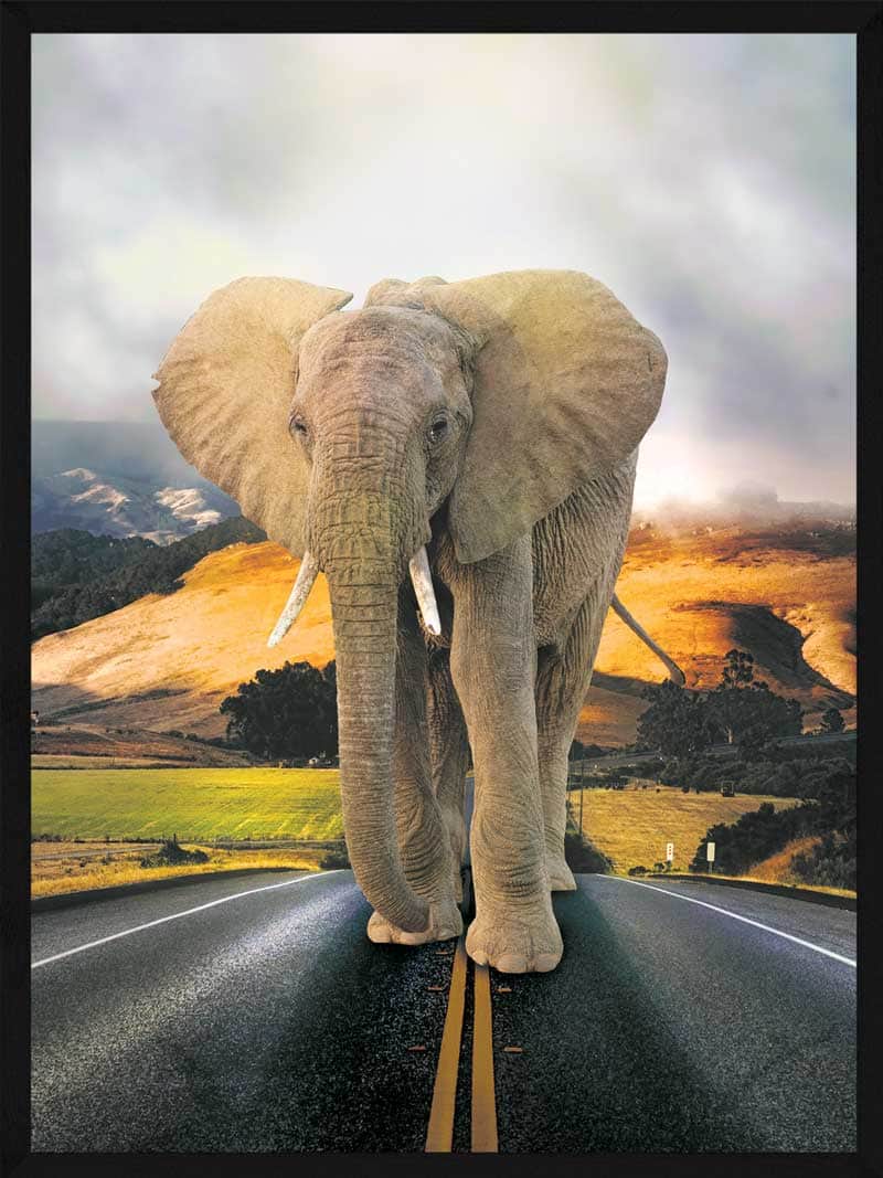 Elefant Plakat - Unik Kunst til Dit Hjem