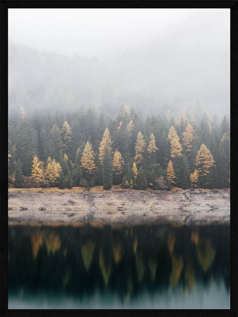 Forårsskov i Tåge Plakat – Magisk Naturkunst til Dit Hjem