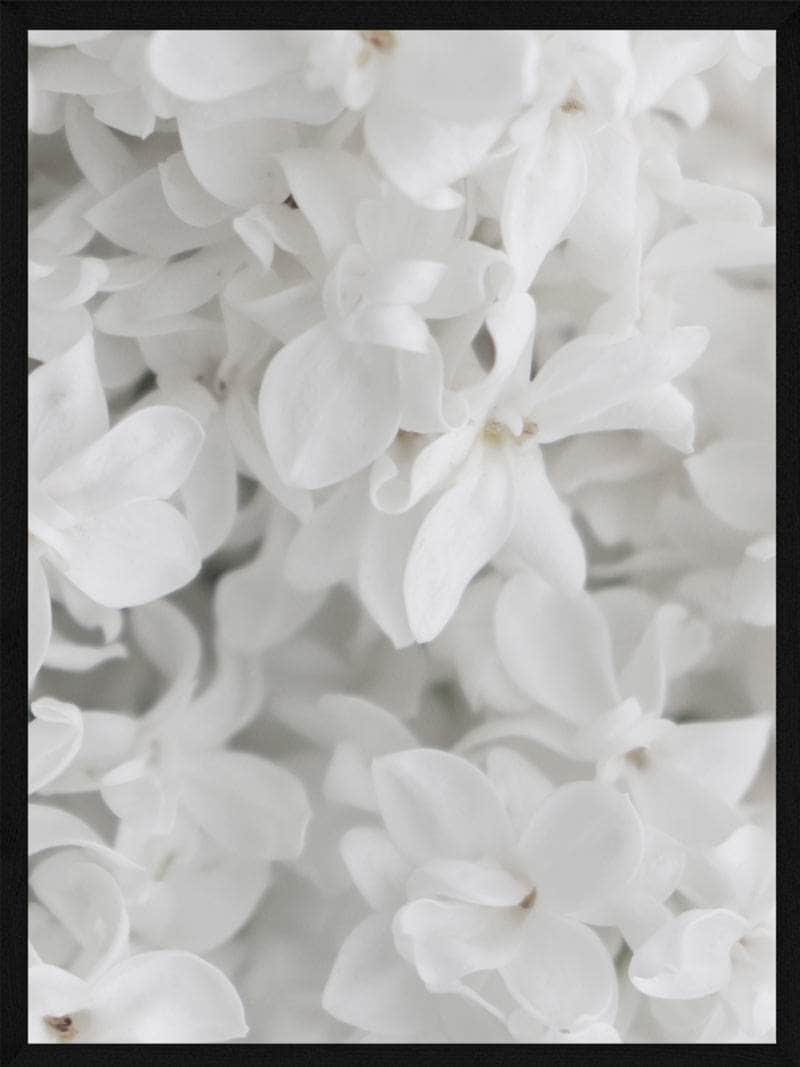 Elegant Hvid Blomster Plakat – Botanisk Vægkunsttilbud