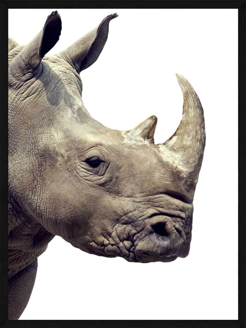 Næsehorn Plakat - Unik Kunst til Dit Hjem