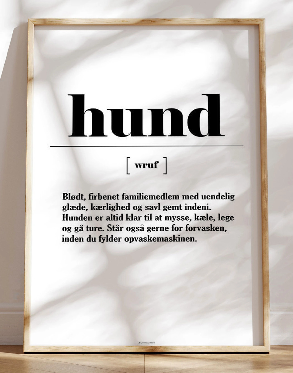 Plakat Med Sjov Definition   Hund