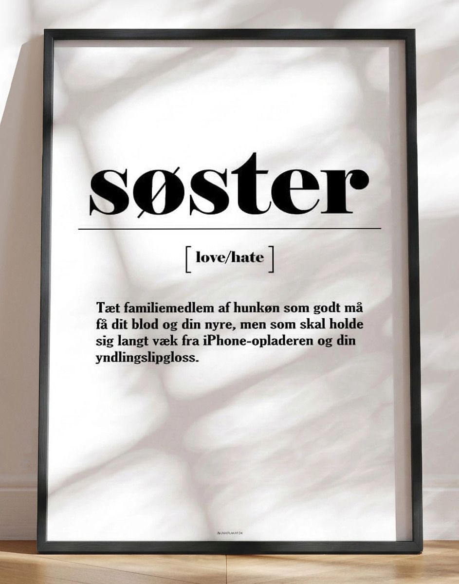 Plakat Med Sjov Definition   Søster