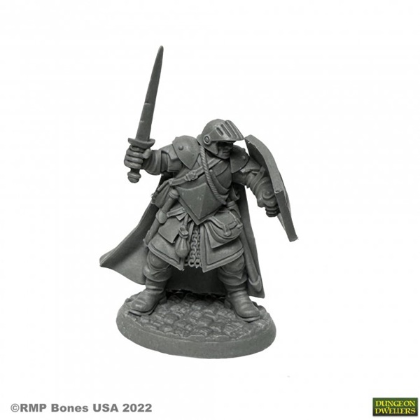 Reaper Bones Usa Dungeon Dwellers: Baran Blacktree  Veteran Warrior Plastic Miniature