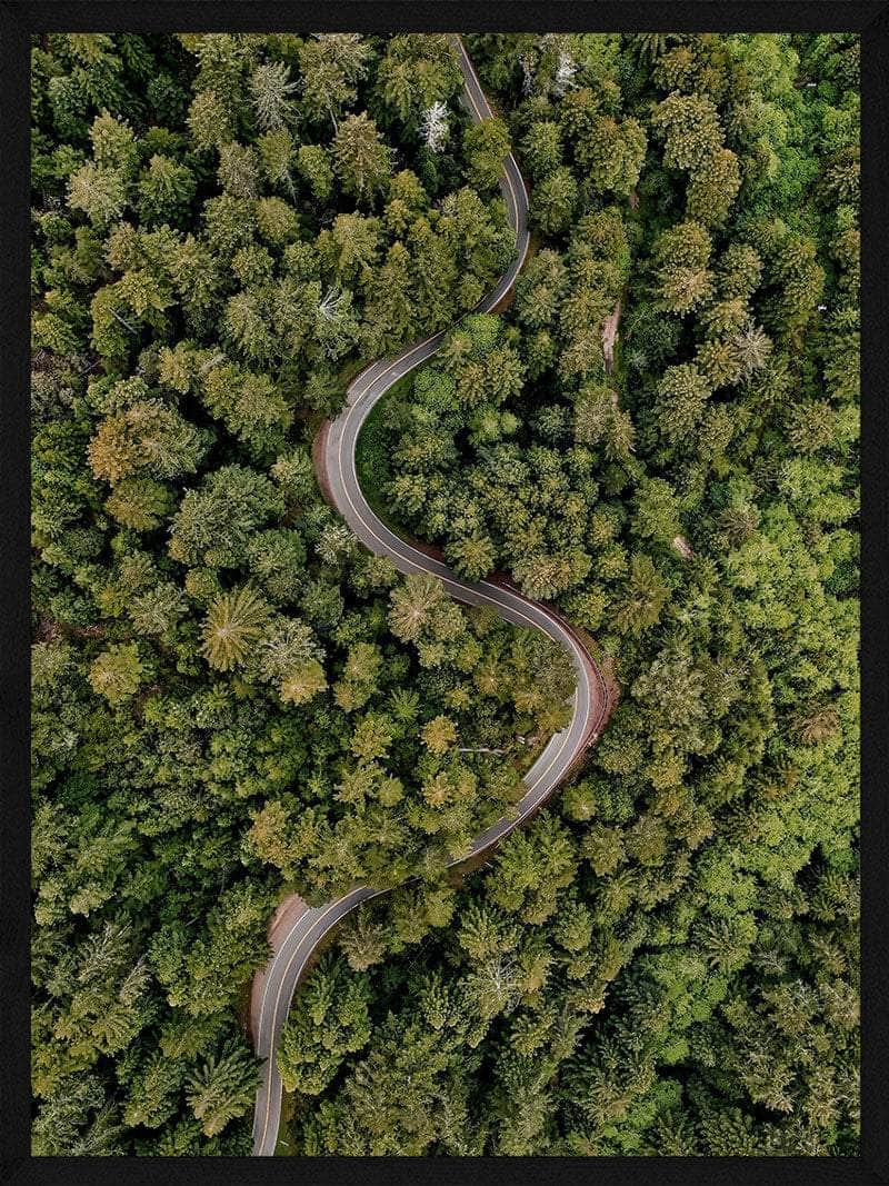 Snoet Vej Plakat – Skov i Fugleperspektiv til Indretning